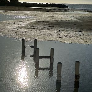 Meet your Posher, Yadira